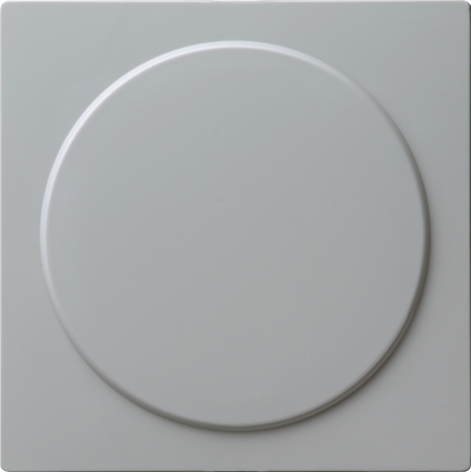 Gira Заглушка с опорной платой 026842