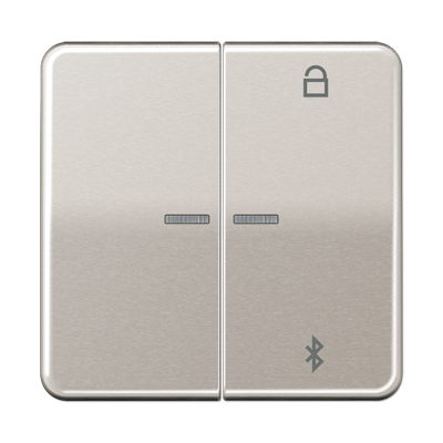 JUNG Таймер универсальный Bluetooth, платина CD1751BTPT