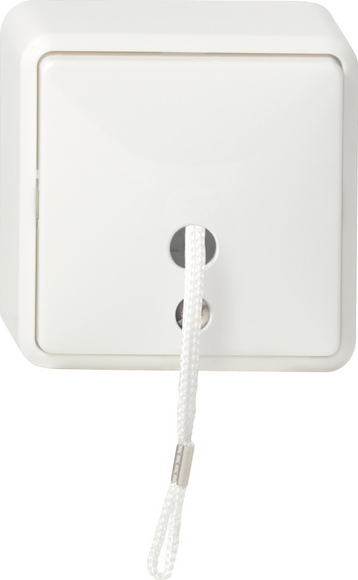 Gira Белый Выключатель шнуровой, накладной монтаж 014613