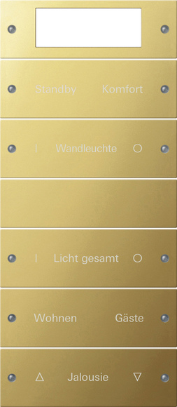 Gira Instabus ClassiX Гравировка Комплект клавиш, 5 шт. 2145608