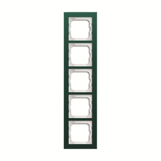 ABB Axcent Стекло Авокадо Рамка 5-постовая 2CKA001754A4774