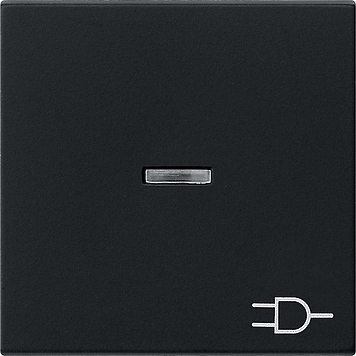 Gira Клавиша с подсветкой и символом "розетка" 0209005