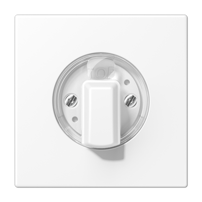 JUNG LS 990 Белый матовый Накладка на поворотные выключатели LS1941WWM