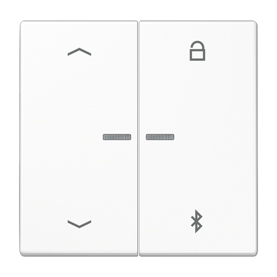 JUNG Таймер универсальный Bluetooth «стрелки», белый LS1751PBTWW