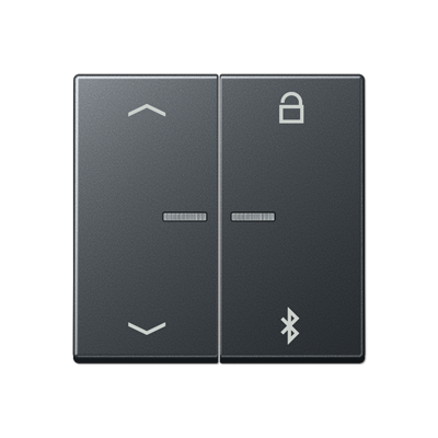 JUNG Таймер универсальный Bluetooth «стрелки», матовый антрацит A1751BFPBTANM