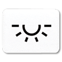 JUNG CD 500/CD plus Белая Линза с символом ОСВЕЩЕНИЕ для клавиши с окошком 33LWW