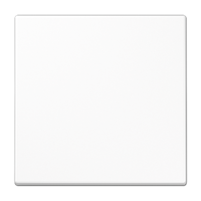 JUNG Центральная плата стандарт, белый LS1700WW