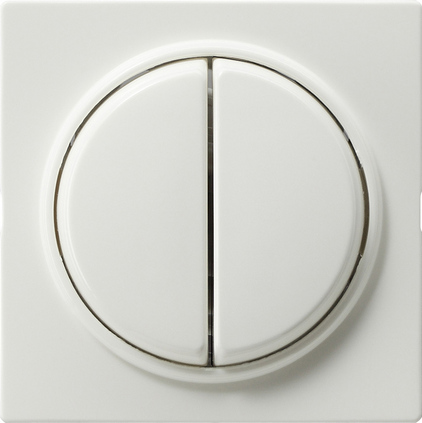 Gira S-Color Белый Клавиша 2-ая 029540