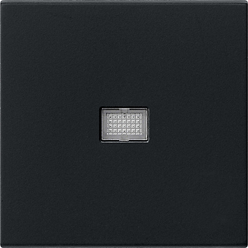 Gira Клавиша с большим контрольным отверстием 0298005