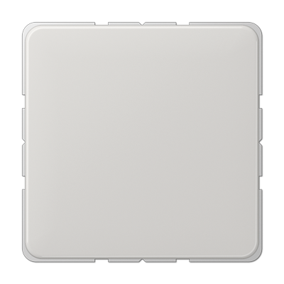 JUNG CD 500/CD plus Светло-серая Заглушка CD594-0LG