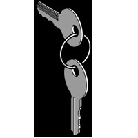 Купить SE Ключ №455 с защитным колпачком ZBG455P