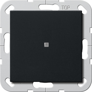 Gira Выключатель с клавишей вертикальный с подсветкой 0124005