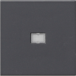 Gira Клавиша с большим контрольным отверстием 029828