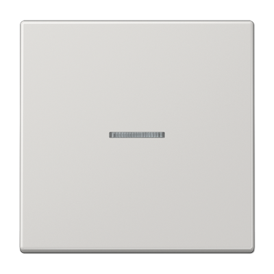 JUNG Клавиша для KNX кнопки, 1 группа, с окошком дюропласт светло-серый LS101KO5LG