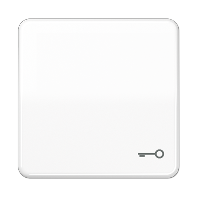 JUNG CD 500/CD plus Белая Клавиша 1-ая с символом КЛЮЧ CD590TWW