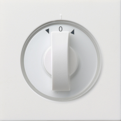 Gira Накладка с ручкой для жалюзи 0666112