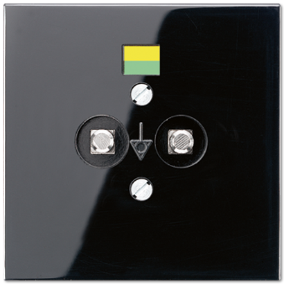 JUNG Розетка штепсельная для выравнивания потенциалов чёрная LS965-2SW