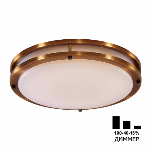 Citilux CL709503N Бостон Бронза Светильник накладной LED 50W*4000K