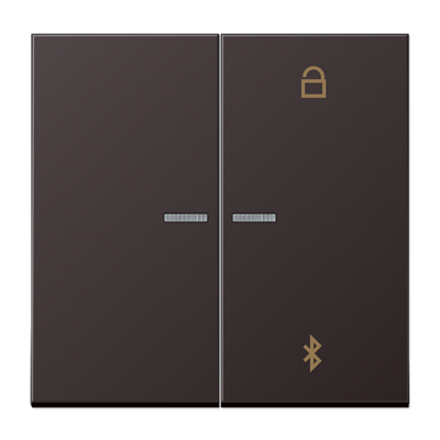 JUNG Таймер универсальный Bluetooth, Dark AL1751BTD