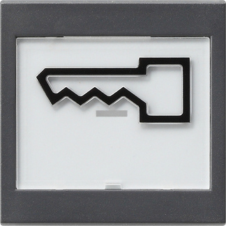 Gira S-55 Антрацит Клавиша с полем для надписи и символом дверь 021828