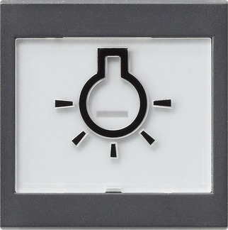 Gira Клавиша с полем для надписи 37*47 мм  и символом "свет" 021628