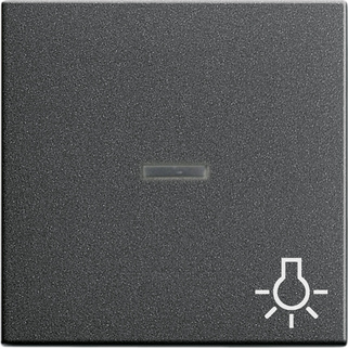 Gira Клавиша с пиктограммой "Свет" и контрольным окном 067428