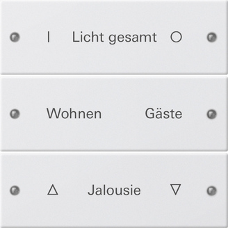 Gira Набор клавиш 3-местный,  ГРАВИРОВКА 220327