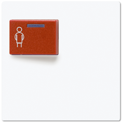 JUNG Крышка для изделий фирмы Ackermann A071CWW