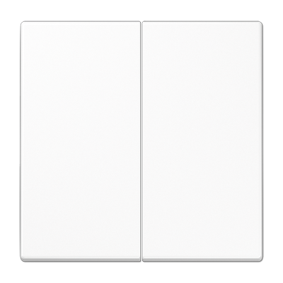 JUNG Центральная плата 2 группы стандарт дюропласт белый LS1702WW