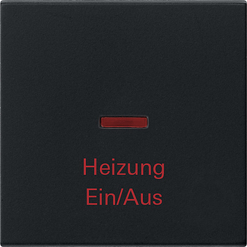 Gira Клавиша "Аварийный выключатель отопления" 0678005