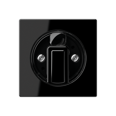 JUNG Накладка поворотного механизма черный A1541BFSW