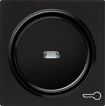 Gira Клавиша с пиктограммой "ключ" 028747