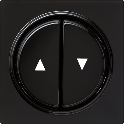 Gira S-Color Черный Клавиша 2-ая 029447