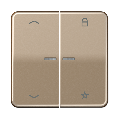 JUNG Центральная плата для вставок управления двигателями, золотая бронза CD1701PGB