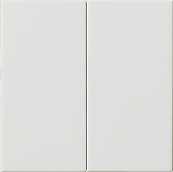 Gira Накладка управления 2-местн. System 3000 536203