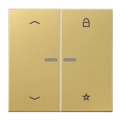 JUNG Центральная плата для вставок управления двигателями, латунь Classic ME1701PC