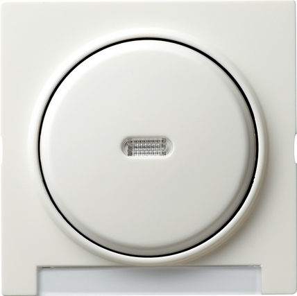 Gira Одинарная клавиша с полем для надписи и подсветкой 067040