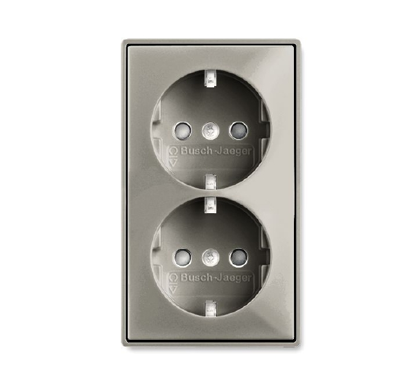 ABB BJB Basic 55 Шамп Розетка 2-ая с/з моноблок, с защитными шторками 2CKA002021A0380