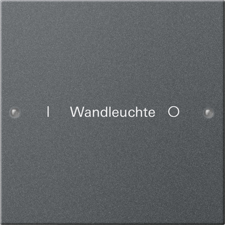 Gira Набор клавиш 1-местный, гравировка 220128