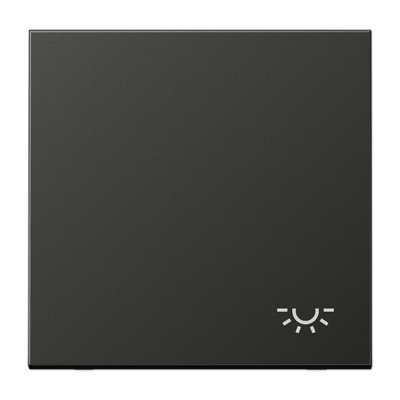 JUNG Клавиша с символом "свет" антрацит AL2990LAN