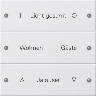 Gira Instabus System 55 Гравировка Набор клавиш 3-местн. 220303
