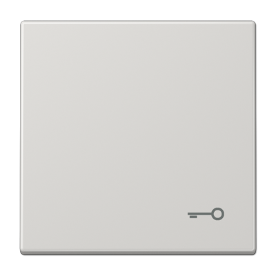JUNG Клавиша с символом "ключ", светло-серый LS990TLG
