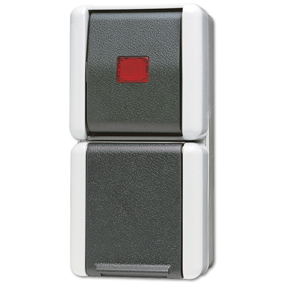 JUNG Комбинация - розетка и контрольный выключатель для накладного монтажа IP44 876KOW