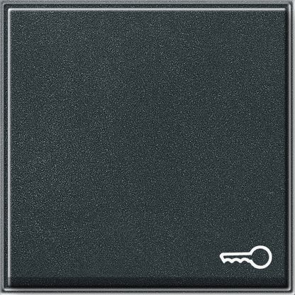 Gira TX 44 Антрацит Клавиша с пиктограммой "ключ" 028767