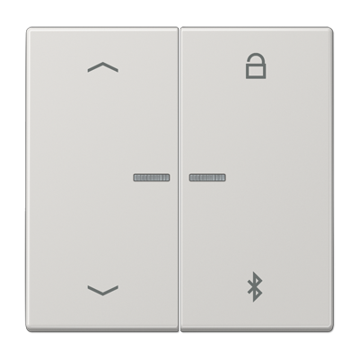 JUNG Таймер универсальный Bluetooth «стрелки», светло-серый LS1751PBTLG