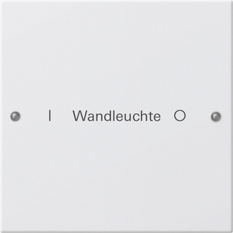 Gira Набор клавиш 1-местный,  ГРАВИРОВКА 220103