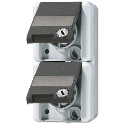 JUNG Двойная SCHUKO-розетка 16A 250V~ с полем для надписи для накладного монтажа IP44 822NAWSL