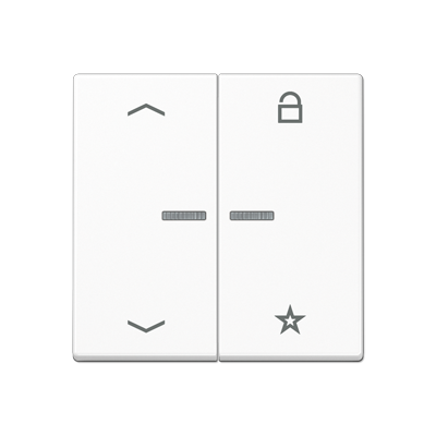 JUNG A Flow/A 550 Белый матовый Центральная плата универсальная с символами «стрелки» A1701BFPWWM