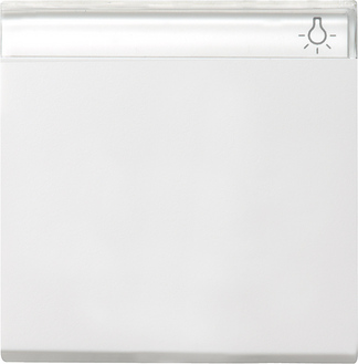 Gira Клавиша с полем для надписи 029927