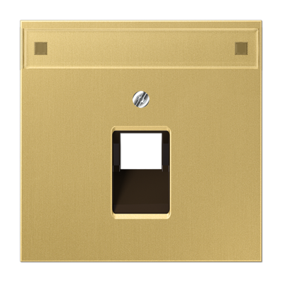 JUNG крышка для модульных разъемов, латунь Classic ME2969-1NAUAC